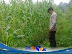 IMG-20260922-WA0185