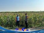 IMG-20260923-WA0022
