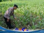 IMG-20260924-WA0026