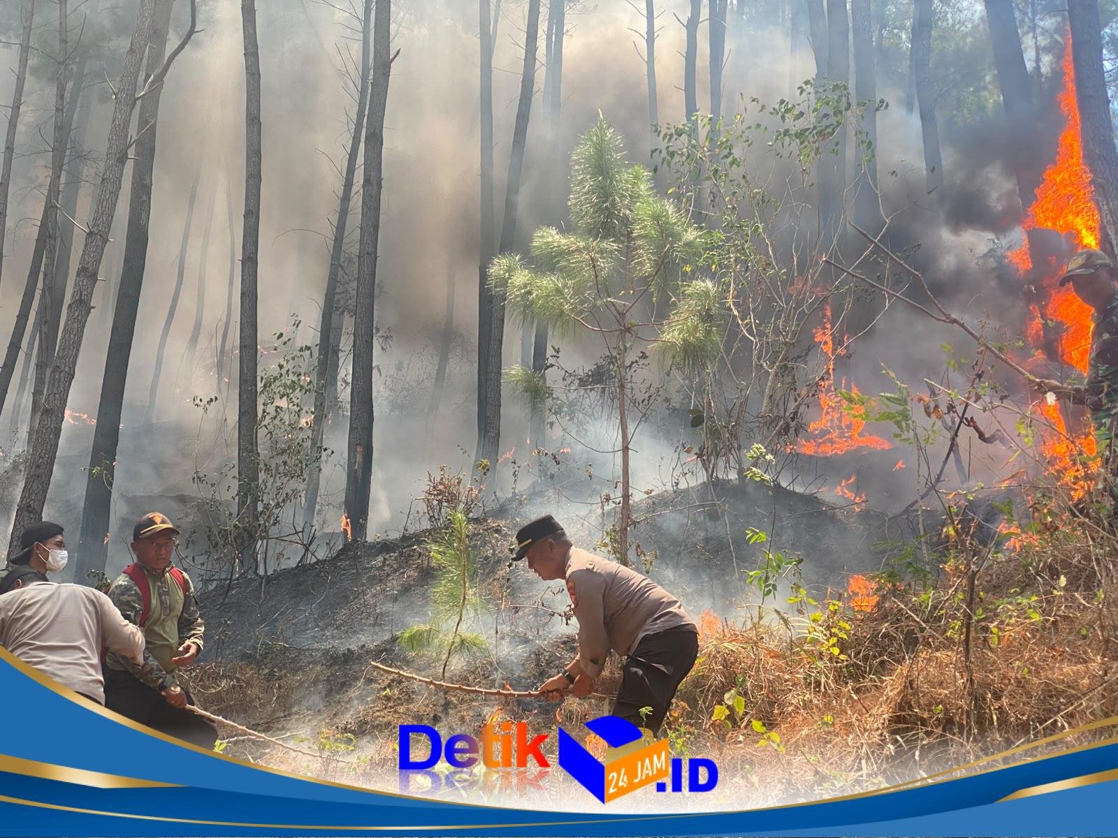 Polres Ponorogo dan Tim Gabungan Tembus Medan Curam Lereng Gunung Limas Padamkan Api Karhutla