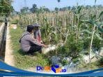 Dukung Asta Cita, Bhabinkamtibmas Desa Karangsari Polsek Sukodono Dorong Ketahanan Pangan Warga