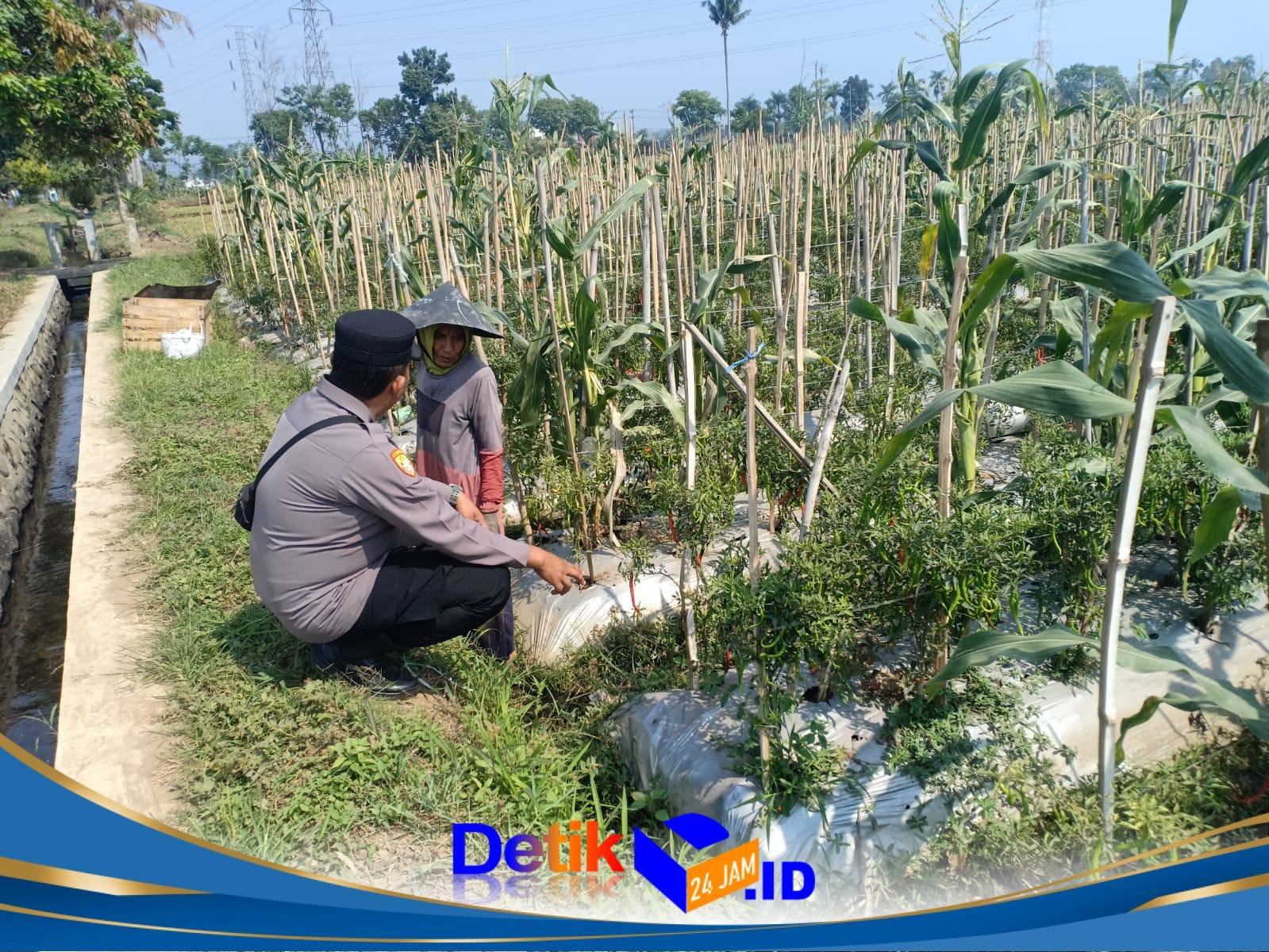 Dukung Asta Cita, Bhabinkamtibmas Desa Karangsari Polsek Sukodono Dorong Ketahanan Pangan Warga