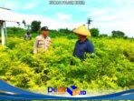 IMG-20261001-WA0060