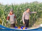 IMG-20261006-WA0014