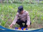 IMG-20261006-WA0031
