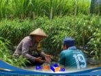 IMG-20261007-WA0018